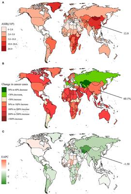 Chinese and Global Burdens of Gastrointestinal Cancers From 1990 to 2019